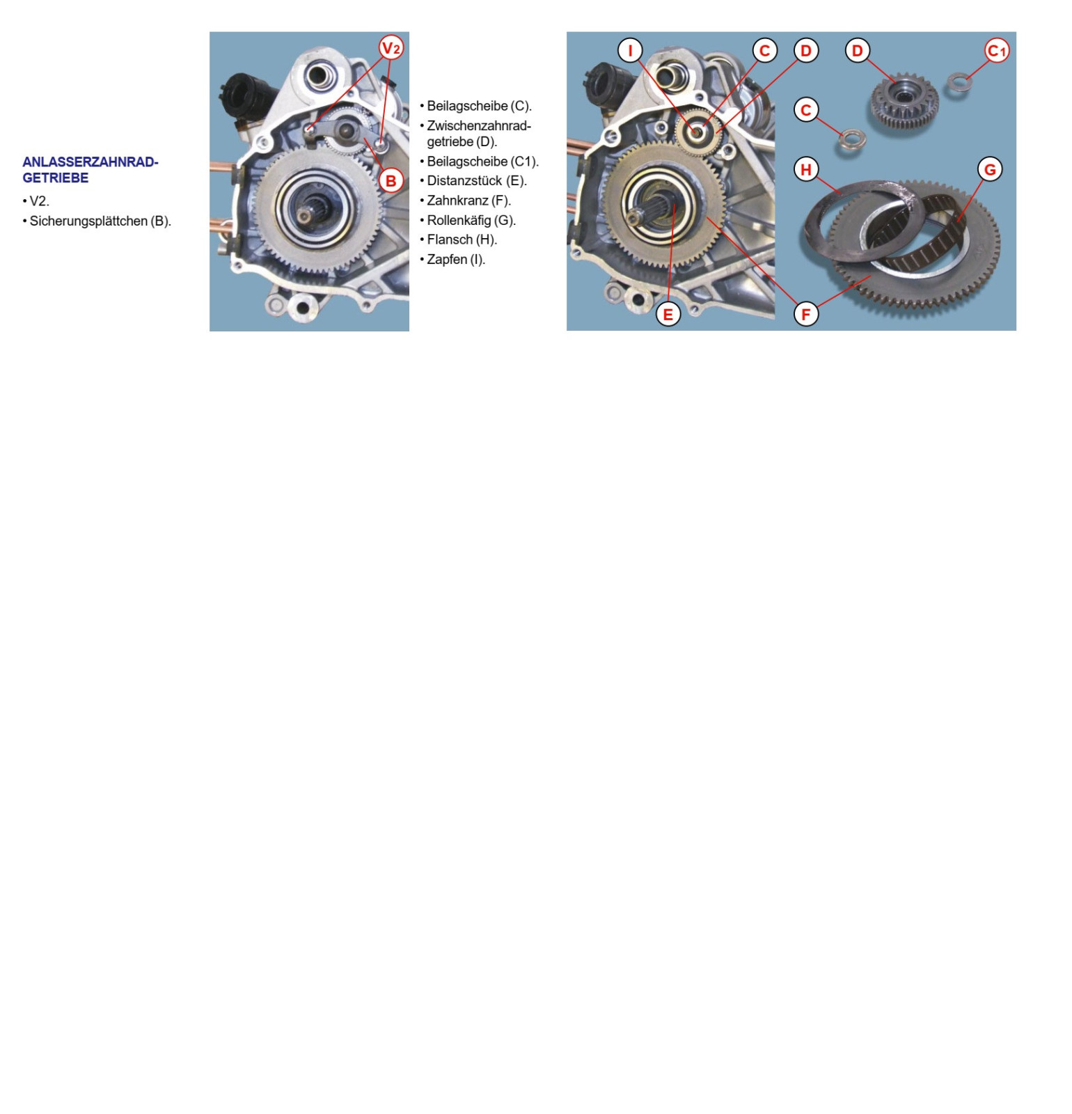 Malaguti F12 - Rasseln / Klingeln aus dem Bereich der Variomatik