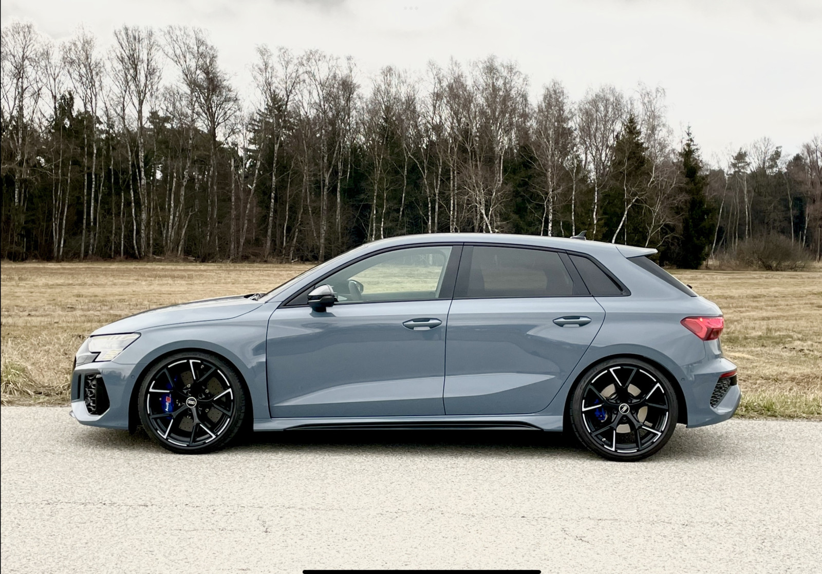 Der große Audi RS3 8Y-Thread