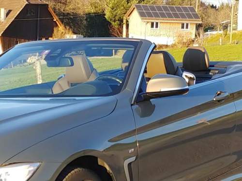 Leder Muskat in Sonne