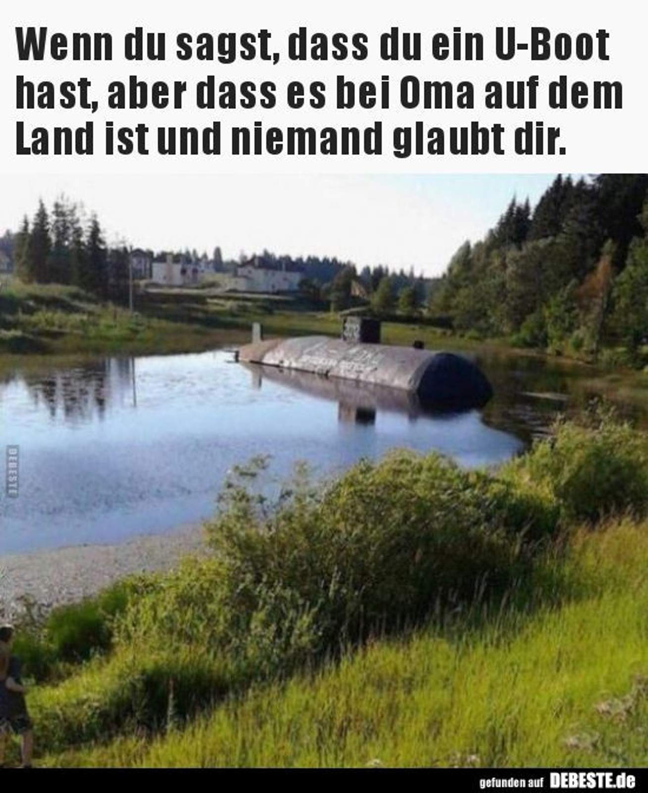 e973312fead15aadaabe4791ccd7a4ff