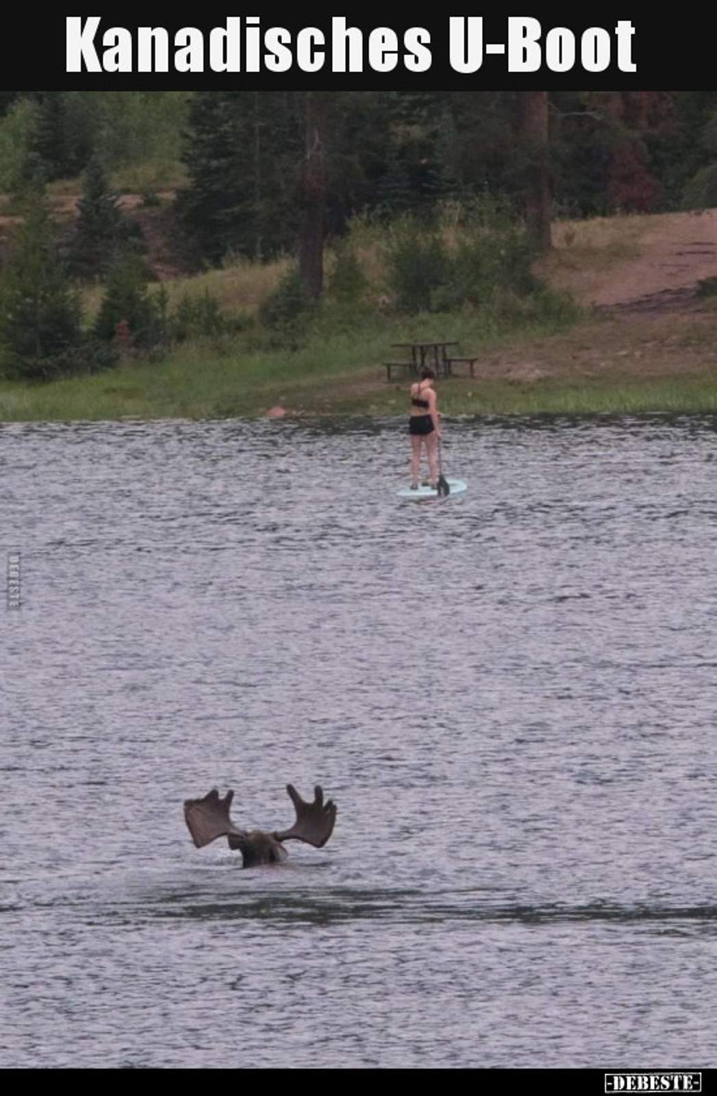 6caab976cba331a330b8b3e11bc4c24a3546