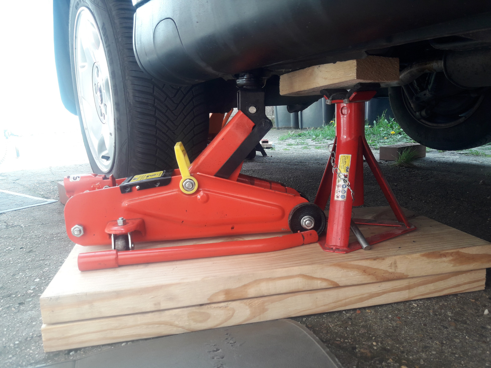 Was habt Ihr heute alles Gutes für Euren Omega & Senator getan?