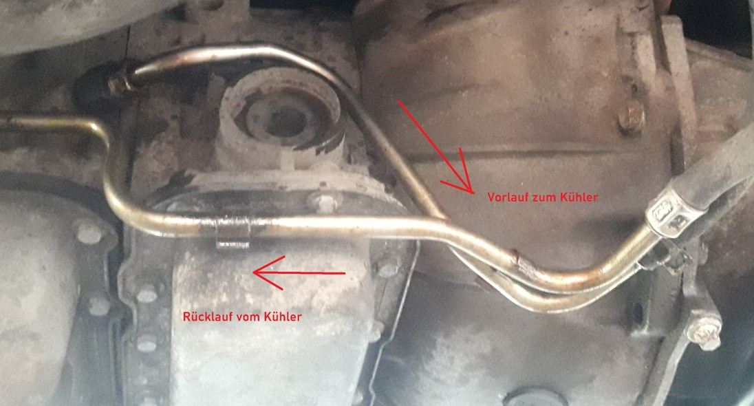 Was habt Ihr heute alles Gutes für Euren Omega & Senator getan?