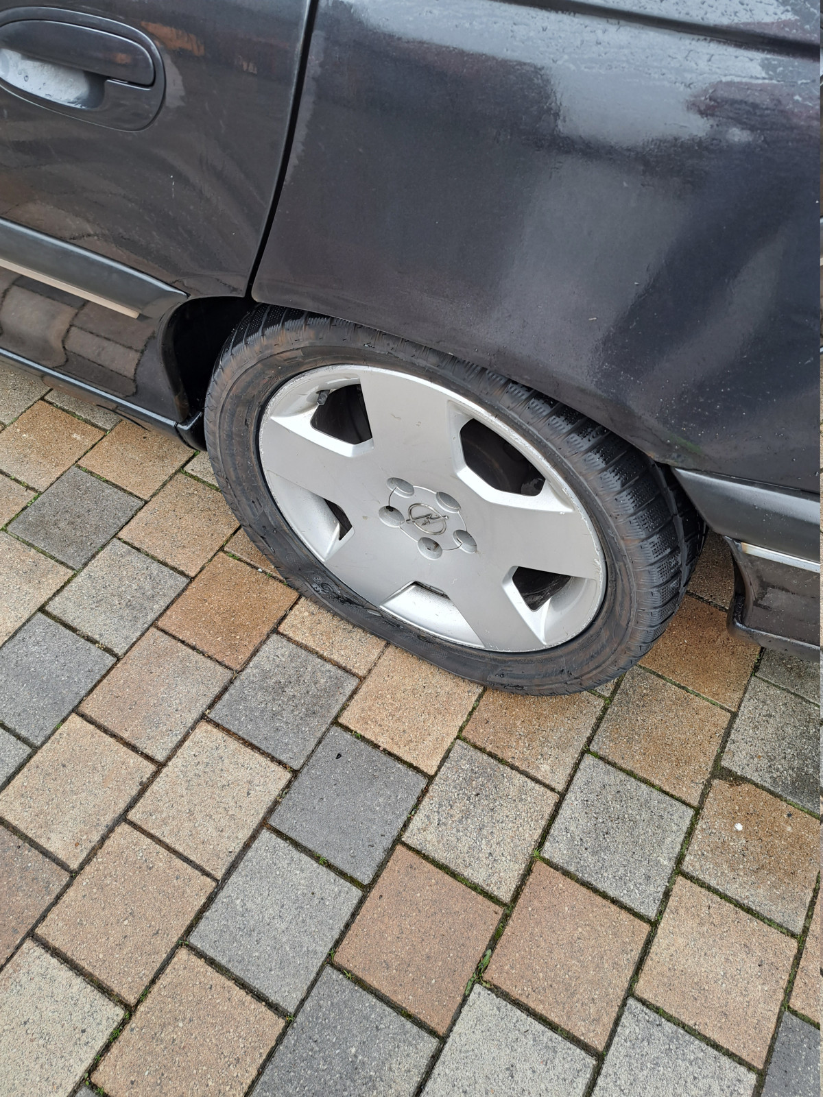 Was habt Ihr heute alles Gutes für Euren Omega & Senator getan?