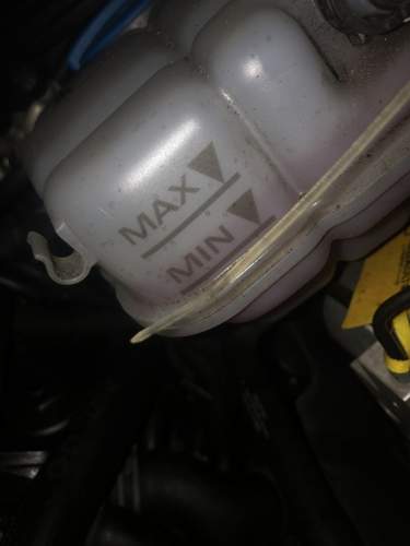 Bild vom 1.Mai (heute)