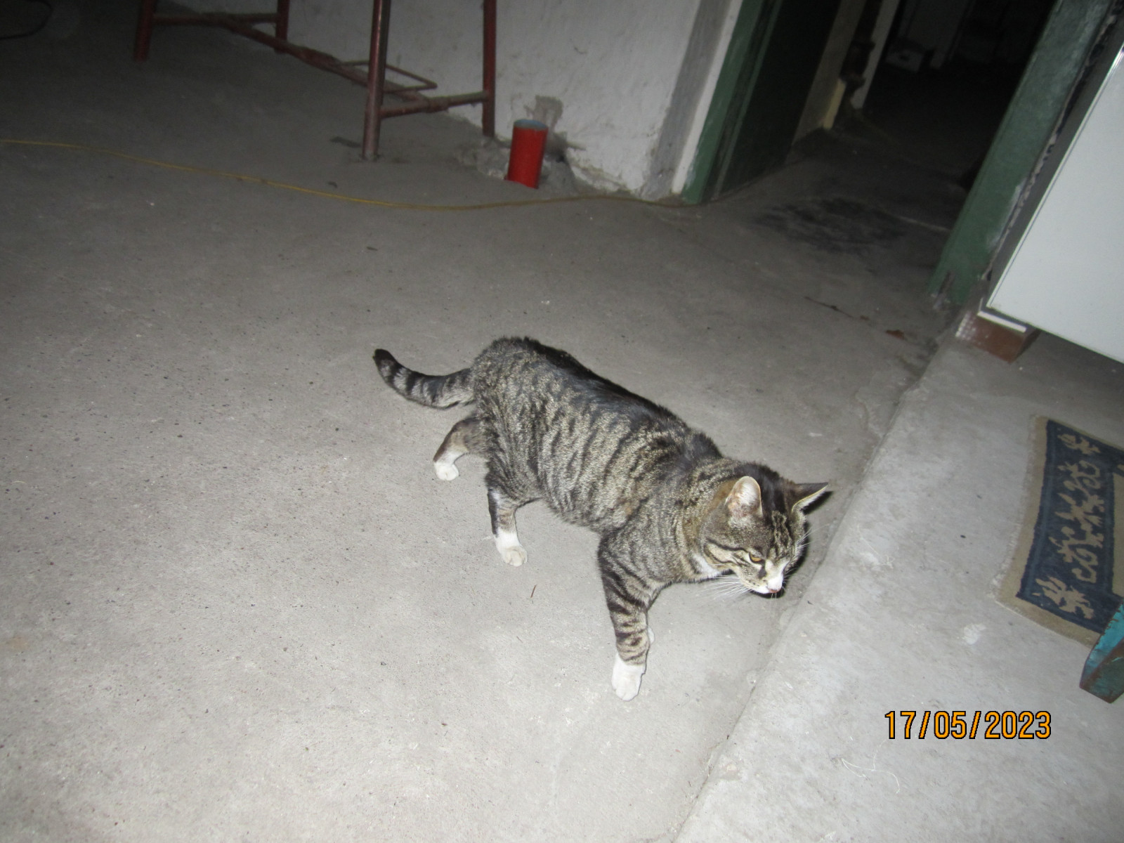 Der Schrottplatz - Spiegelsymmetrisch des Showrooms