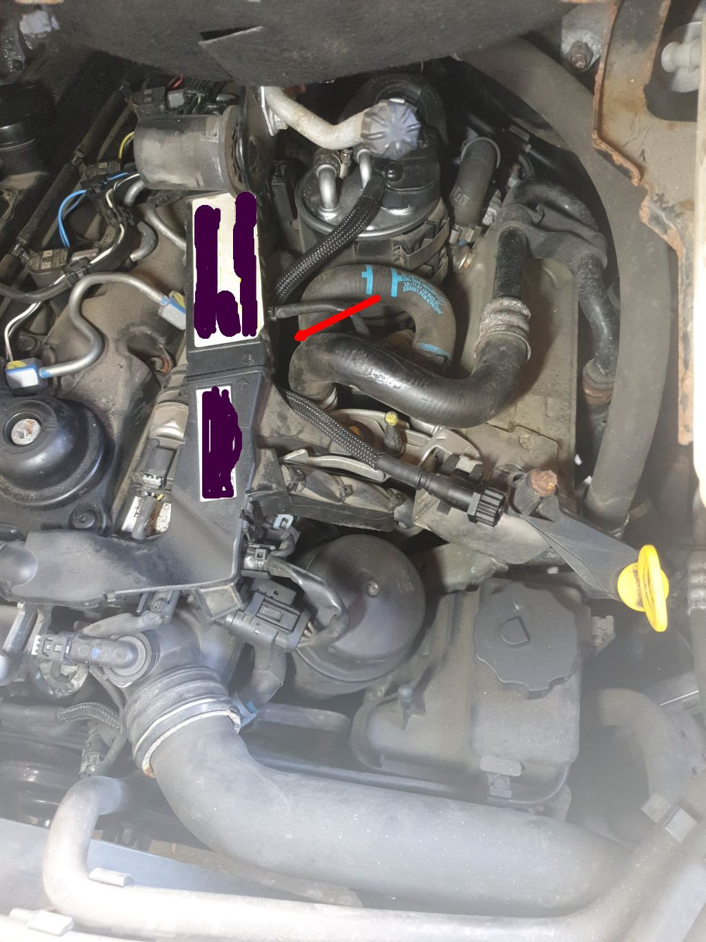 Vito W639, Kühlmittelverlust Suchbild