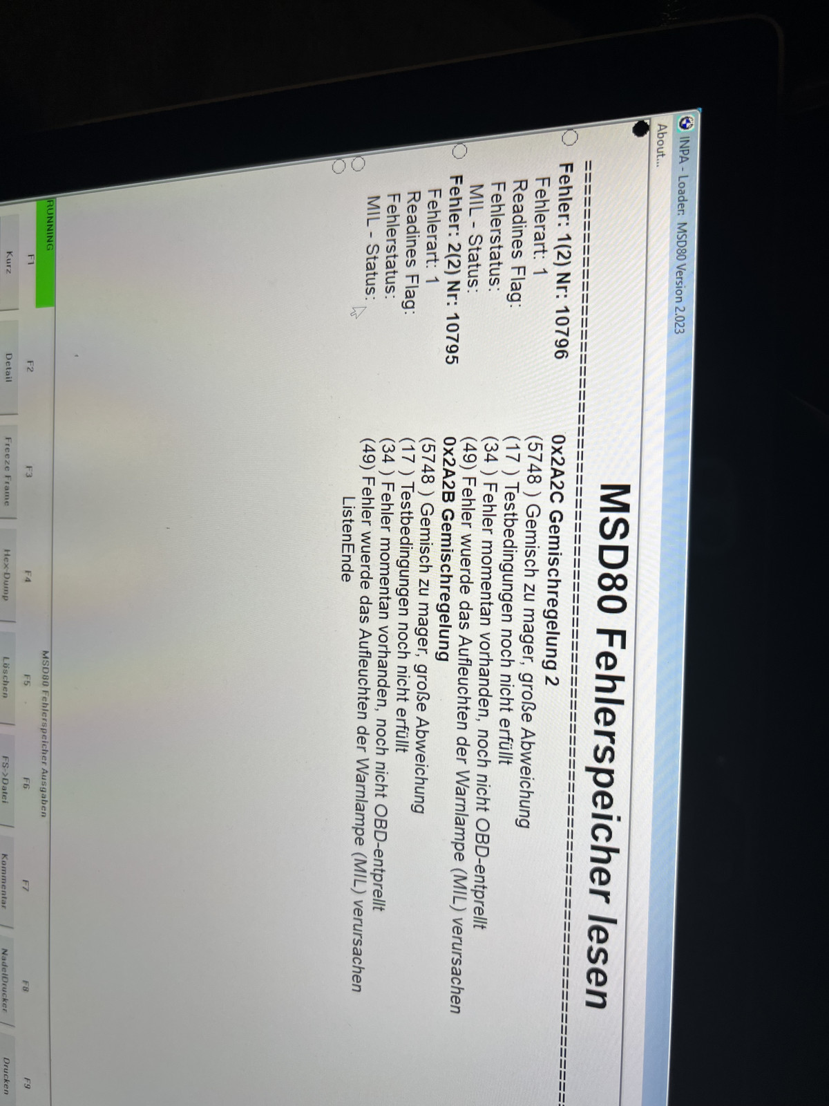 BMW N53 325i unrunder Leerlauf, Quietschen/Zwitschern