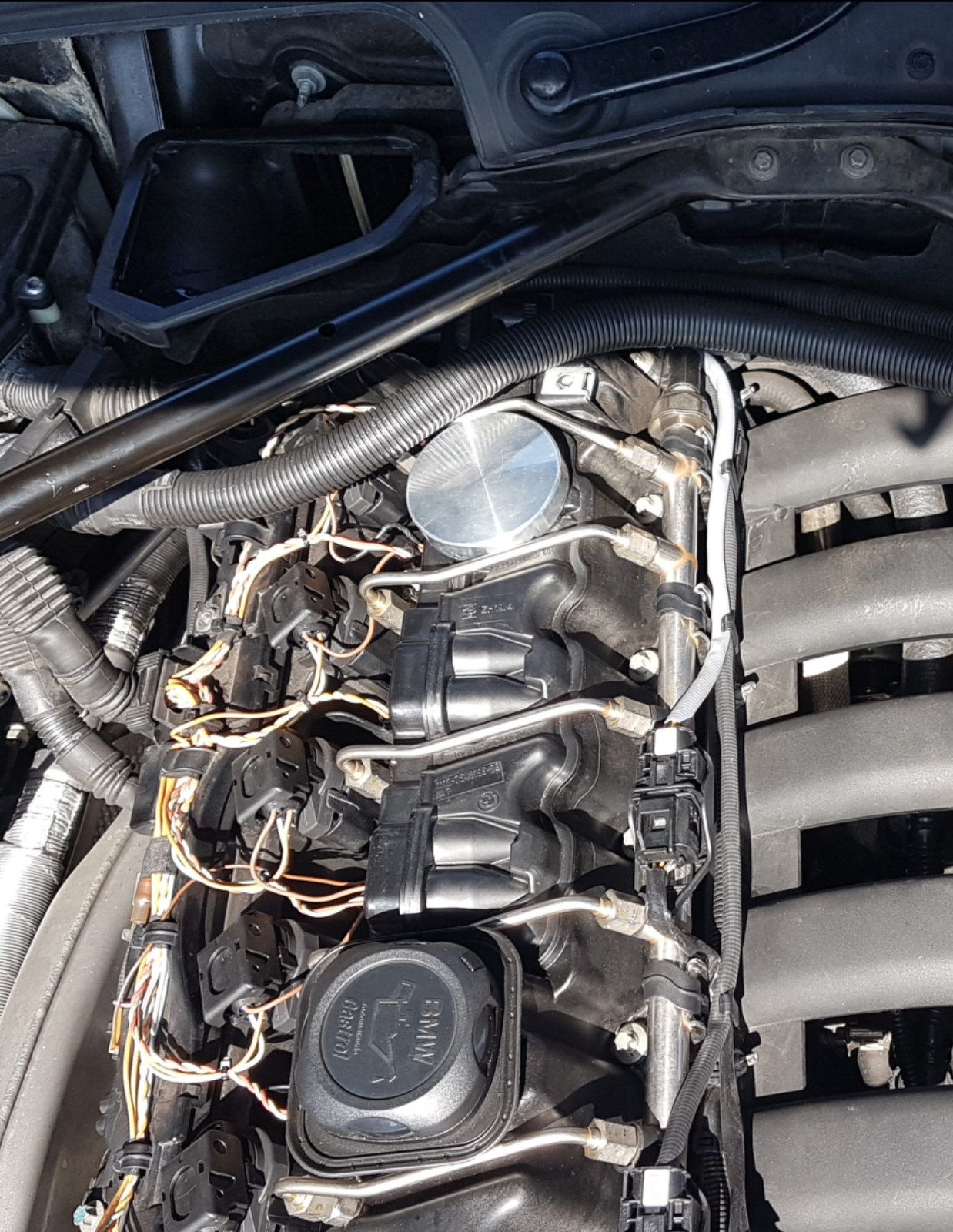 BMW N53 325i unrunder Leerlauf, Quietschen/Zwitschern