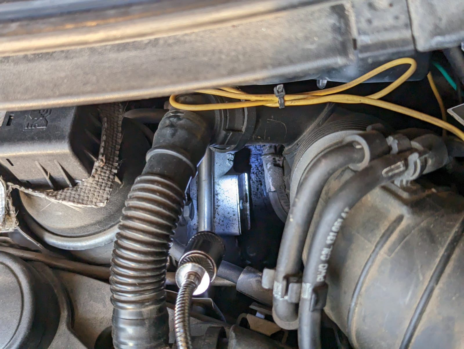 Passat ruckelt und geht öfters in Notlauf