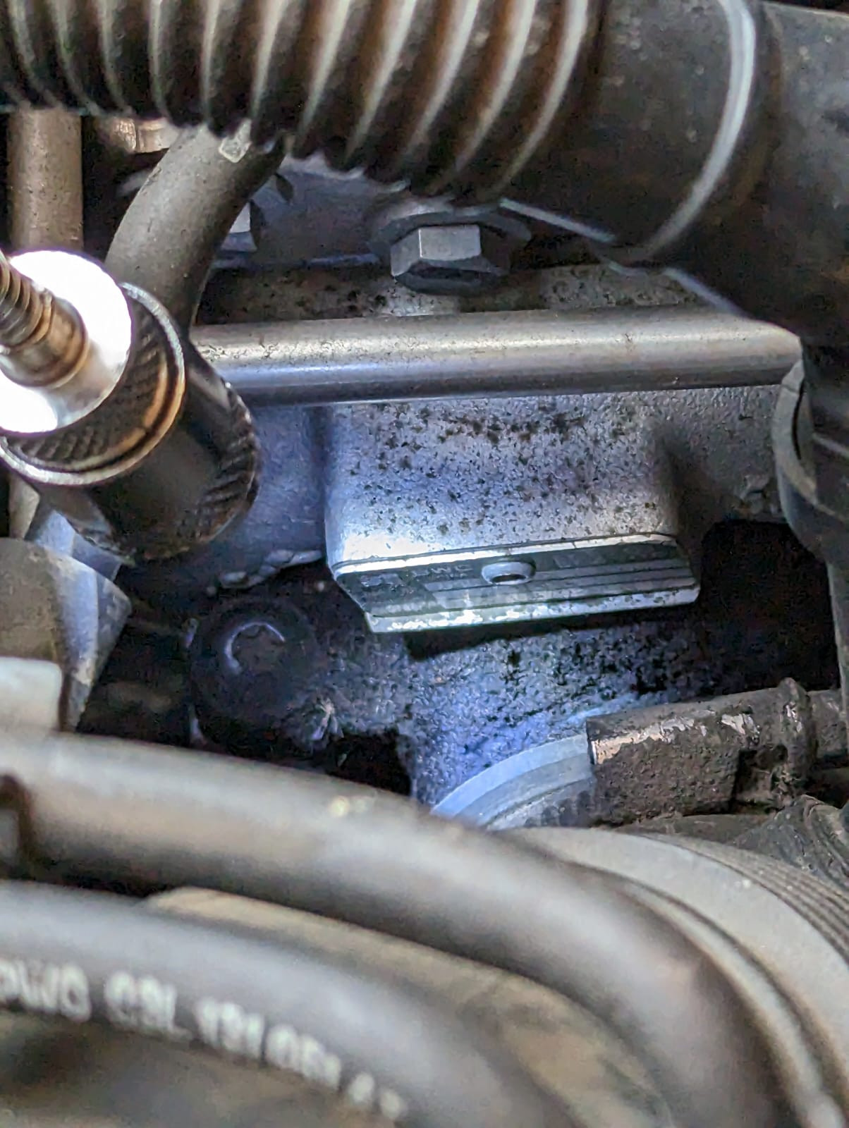 Passat ruckelt und geht öfters in Notlauf