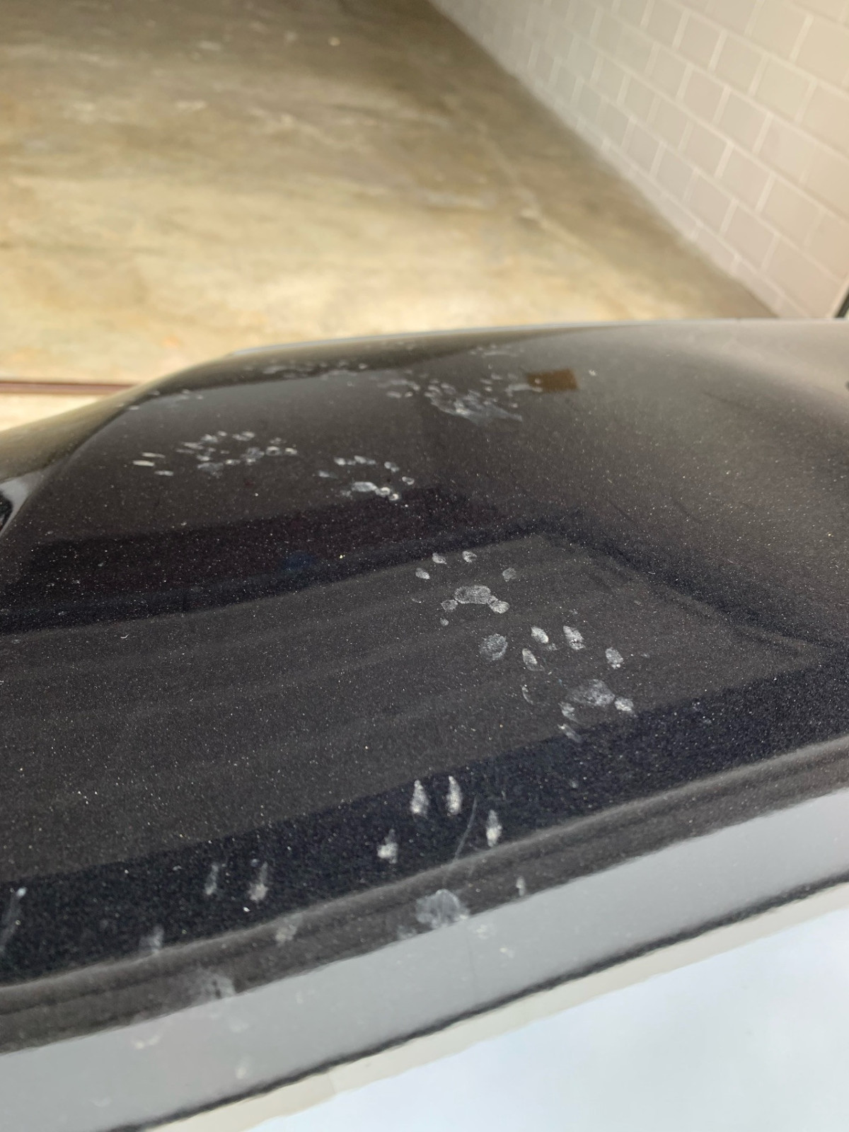 Marder oder Katze in der Hotelltiefgarage