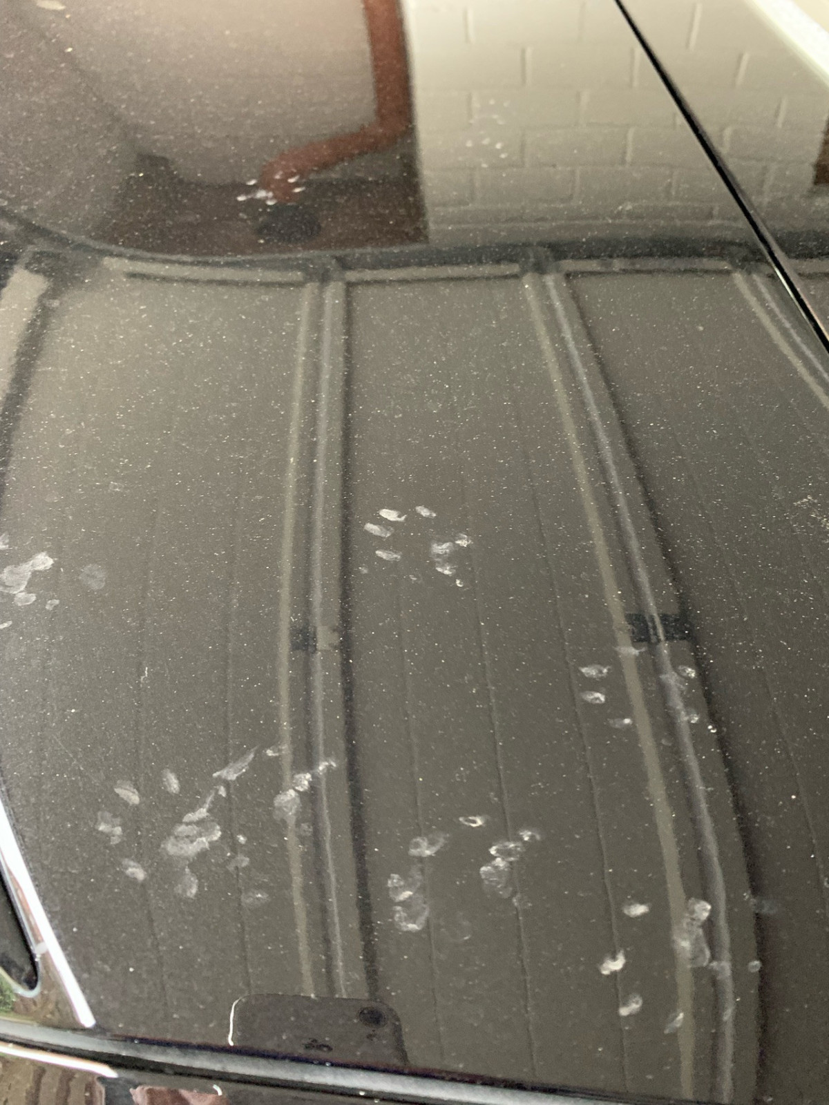 Marder oder Katze in der Hotelltiefgarage