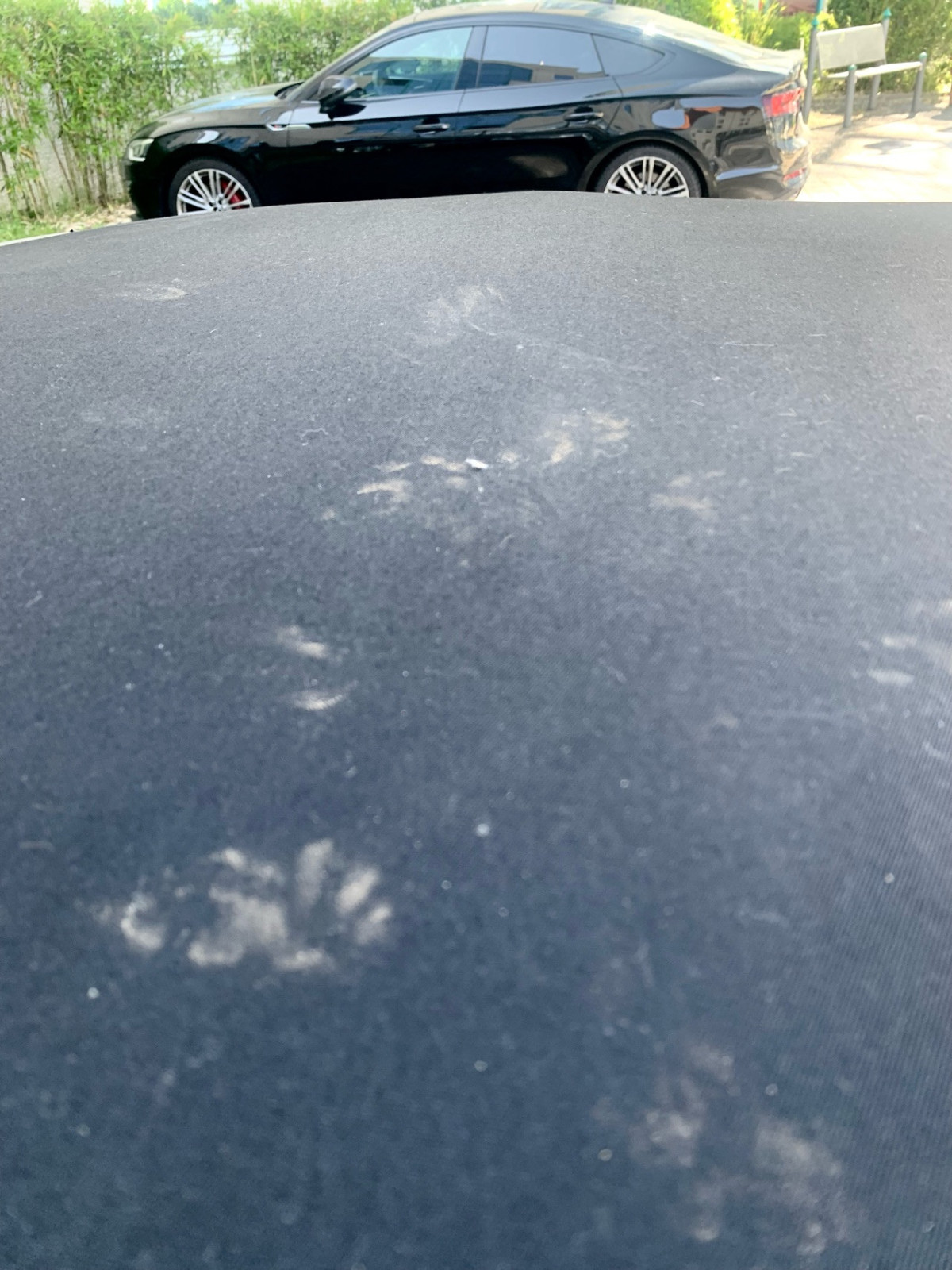 Marder oder Katze in der Hotelltiefgarage