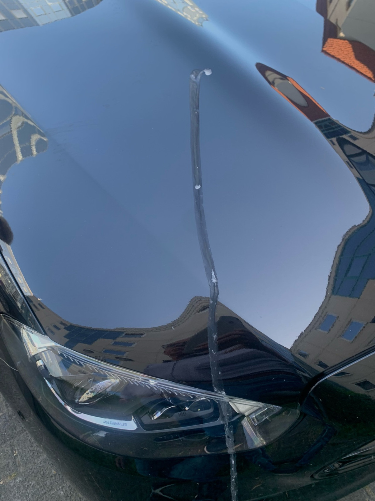 Marder oder Katze in der Hotelltiefgarage