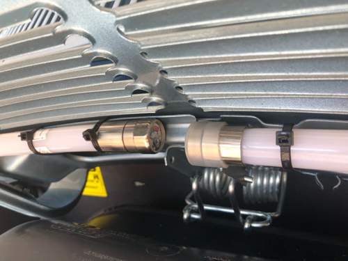 Enden treffen sich oben mittig, kleine Bechnase haelt Abstand.jpg