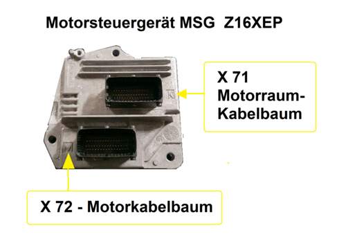 MSG-Stecker am MSG