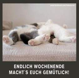 Coole-bilder-fur-langes-schones-wochenende
