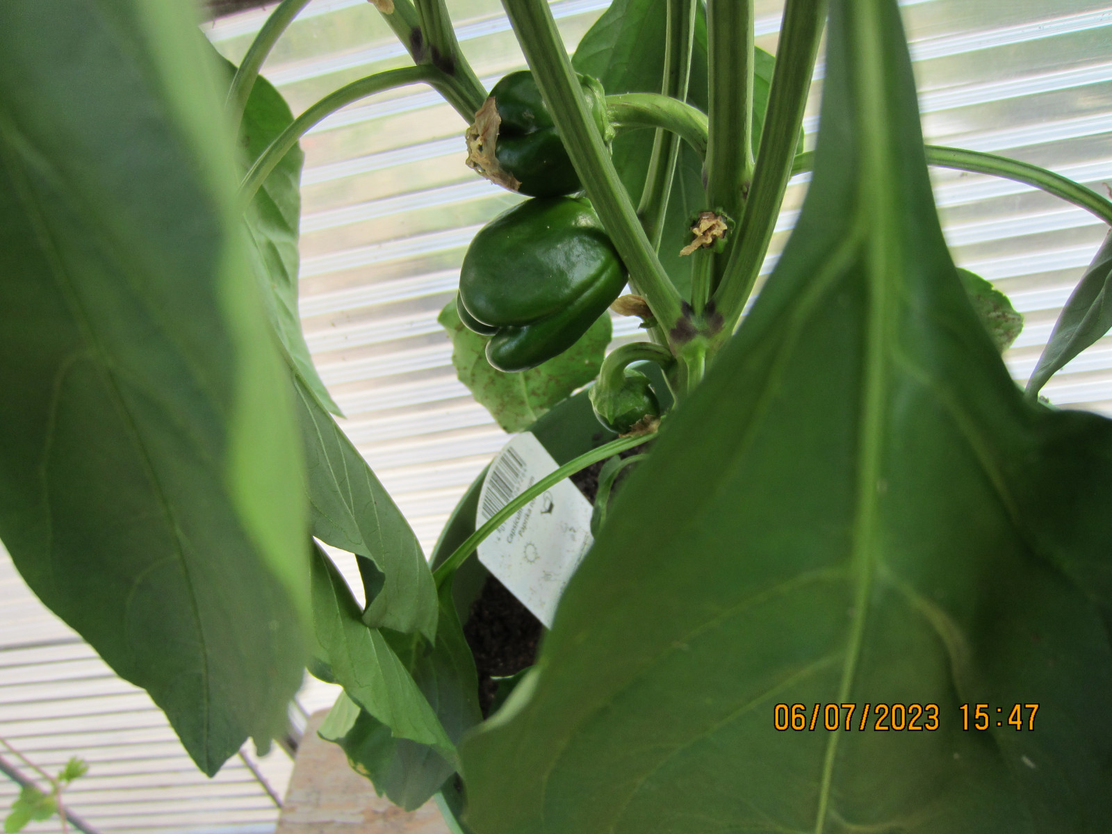 Der Schrottplatz - Spiegelsymmetrisch des Showrooms