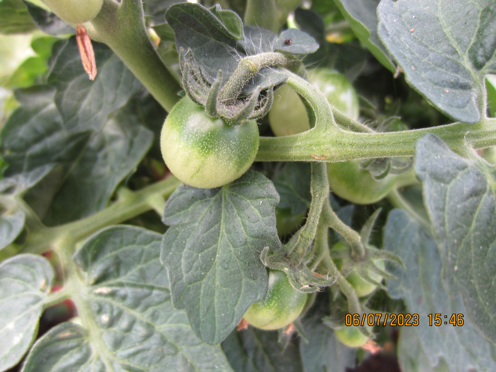 Der Schrottplatz - Spiegelsymmetrisch des Showrooms