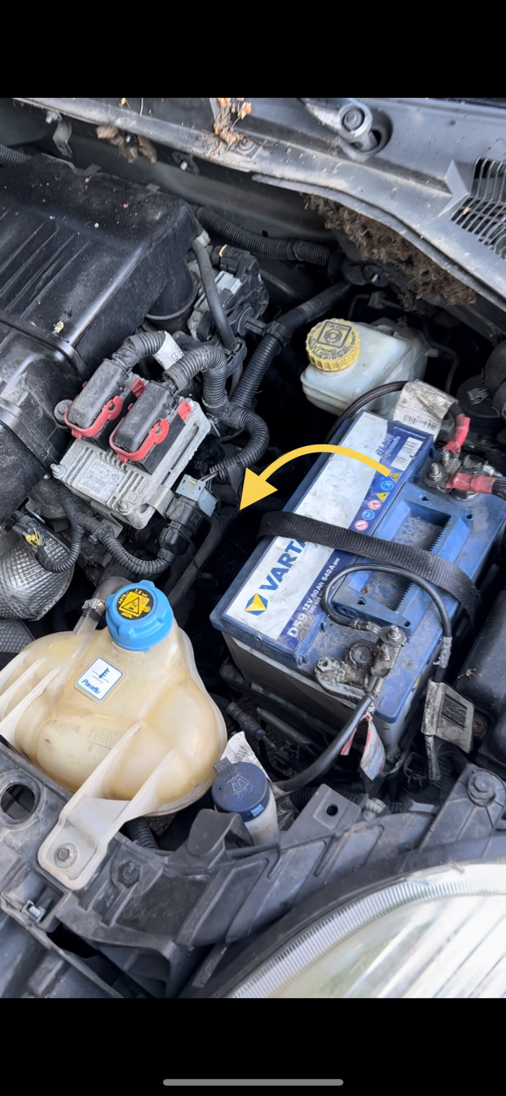 Fiat Punto Grande verliert Kühlwasser