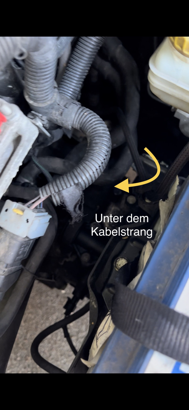 Fiat Punto Grande verliert Kühlwasser