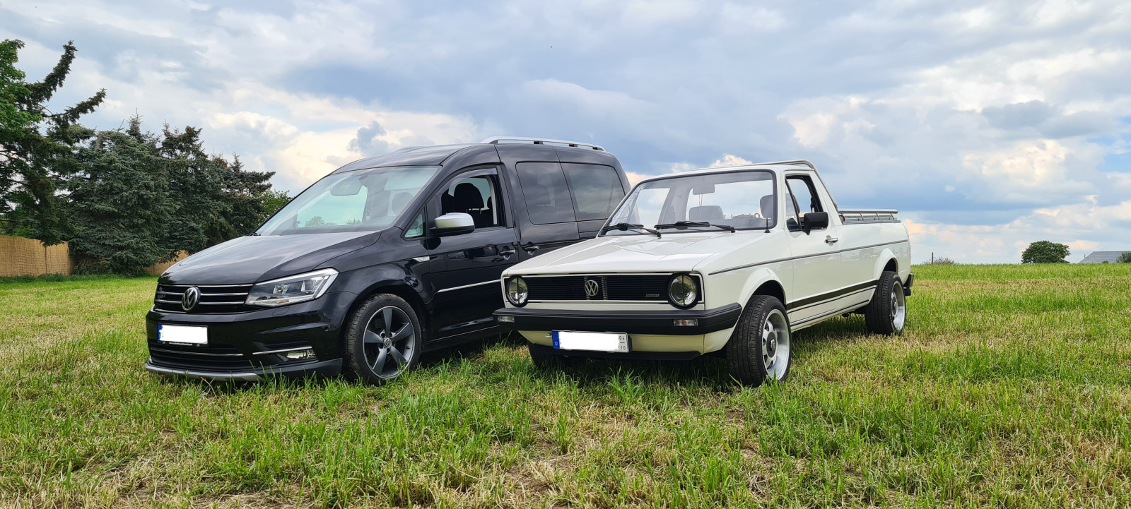 Die schönsten Caddybilder