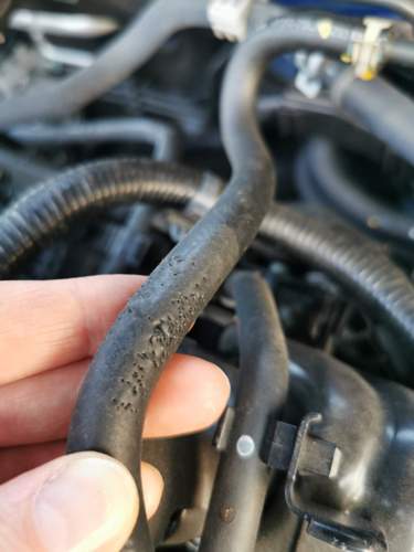 Schlauch Civc 10 Sedan