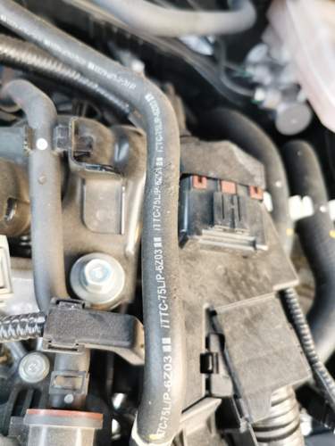 Schlauch Civc 10 Sedan