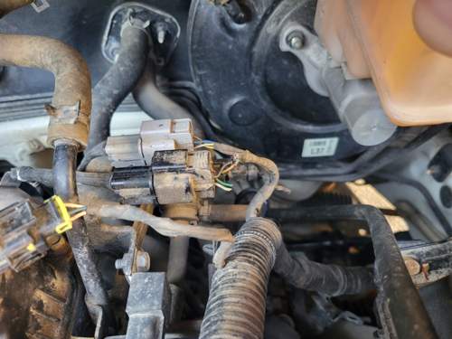 Beim schwarzen Stecker