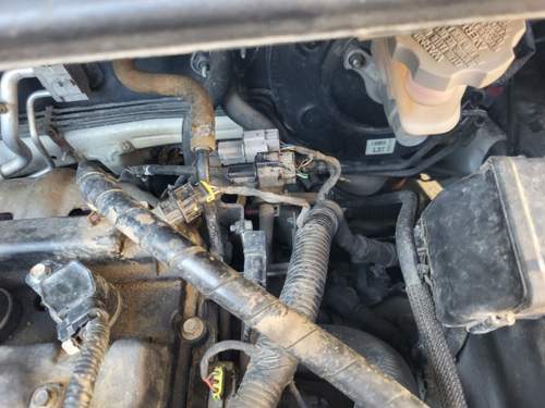 Beim schwarzen Stecker