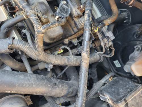 Beim schwarzen Stecker