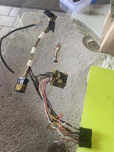 Kabelbaum Verstärker