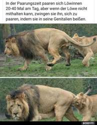 5d76f14067f7ff17e6f51d951ca0144f6384