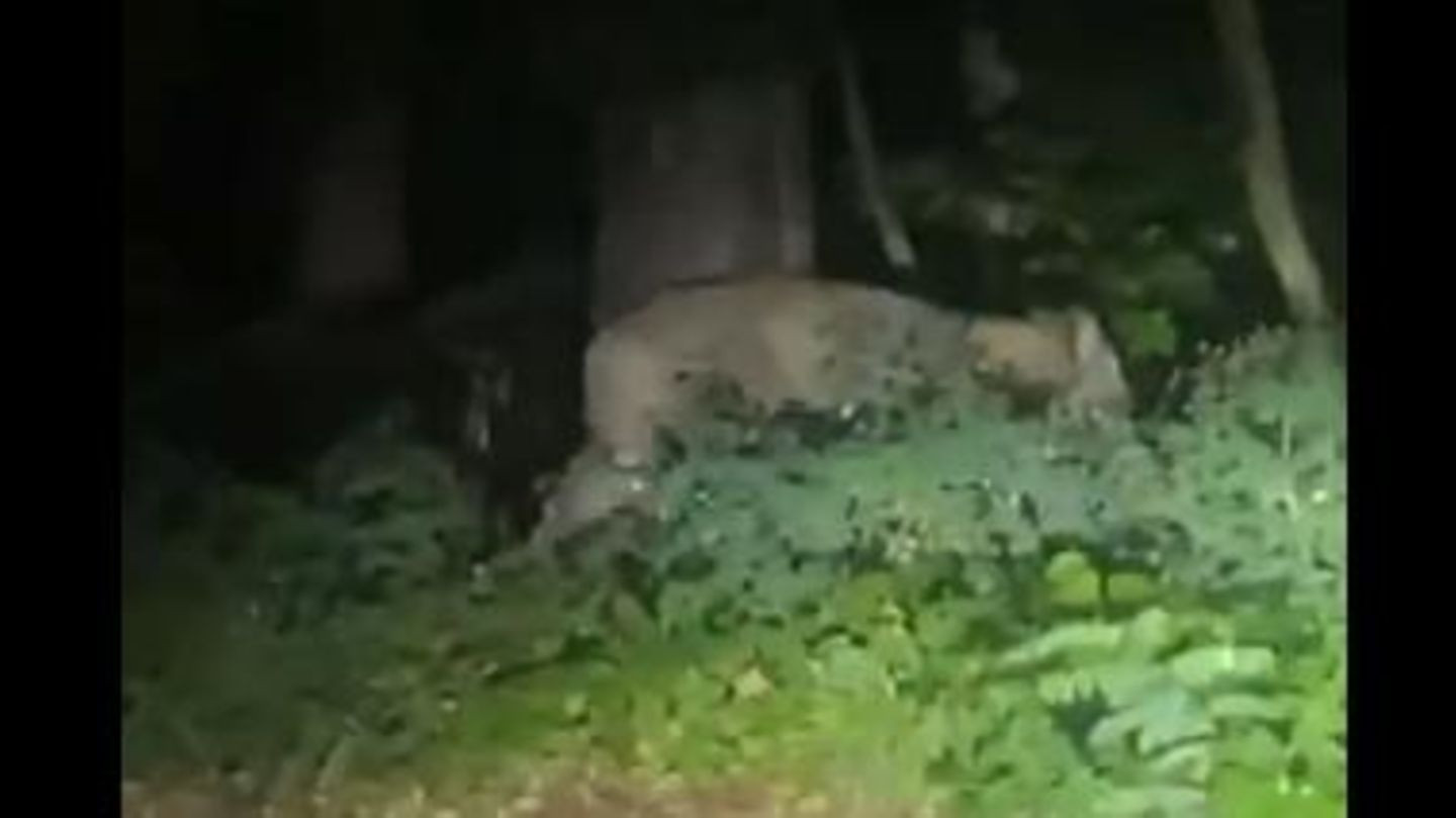 bildschirmfoto-2023-07-20-um-11-16