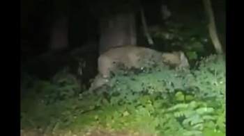 Bildschirmfoto-2023-07-20-um-11-16