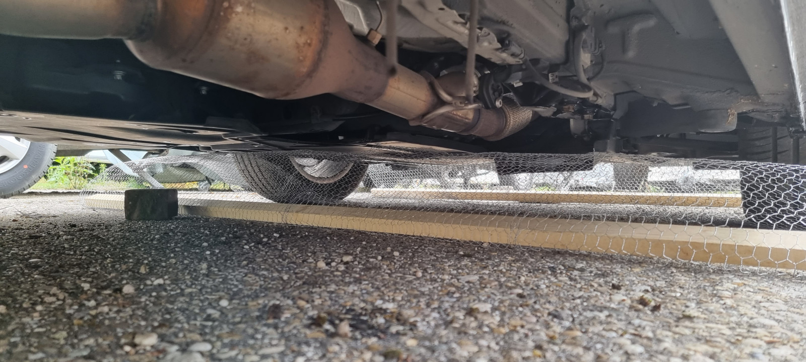 Marderschaden Häufigkeit beim Vau?