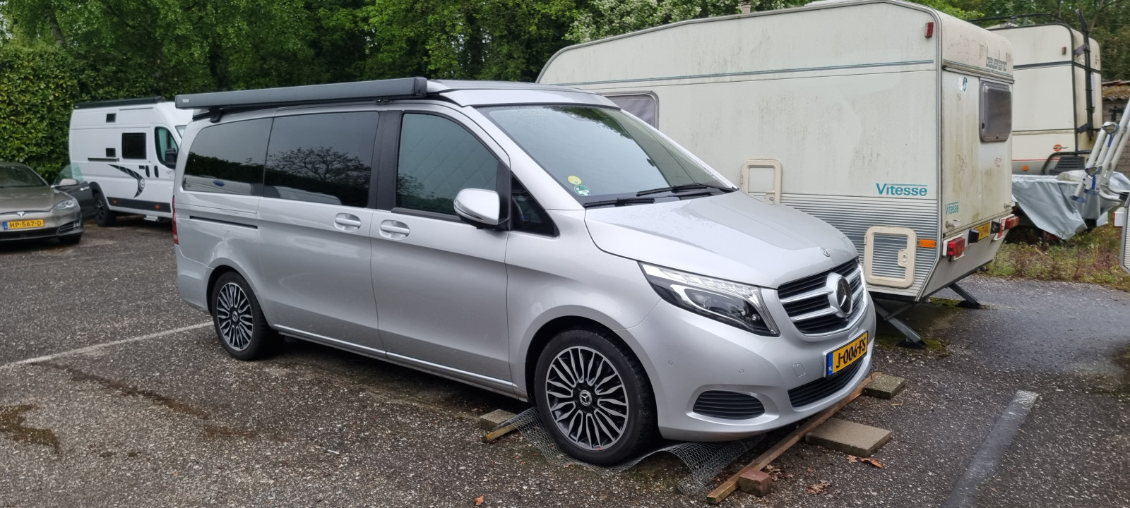 Marderschaden Häufigkeit beim Vau?