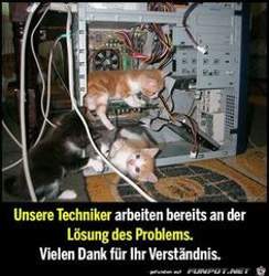 Ce30d82abfb42f2db9dee6427669b2d4-funniest-pictures-patience