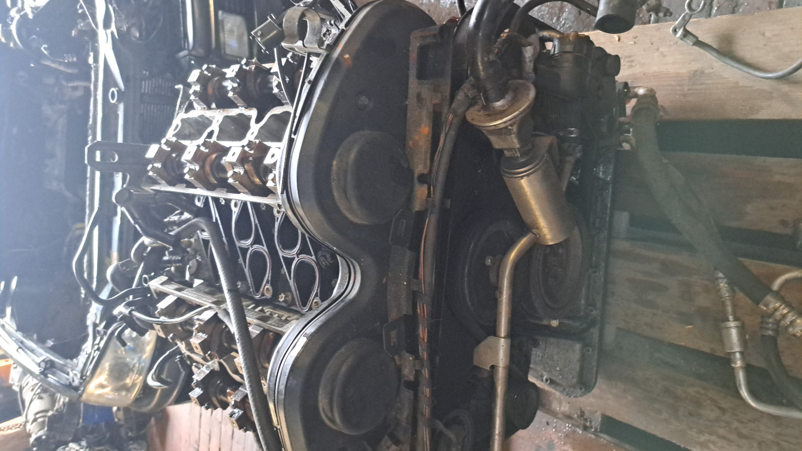 Was habt Ihr heute alles Gutes für Euren Omega & Senator getan?