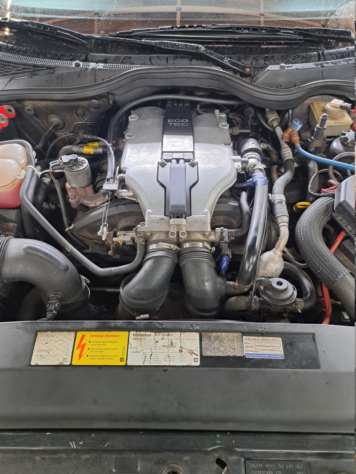 Was habt Ihr heute alles Gutes für Euren Omega & Senator getan?