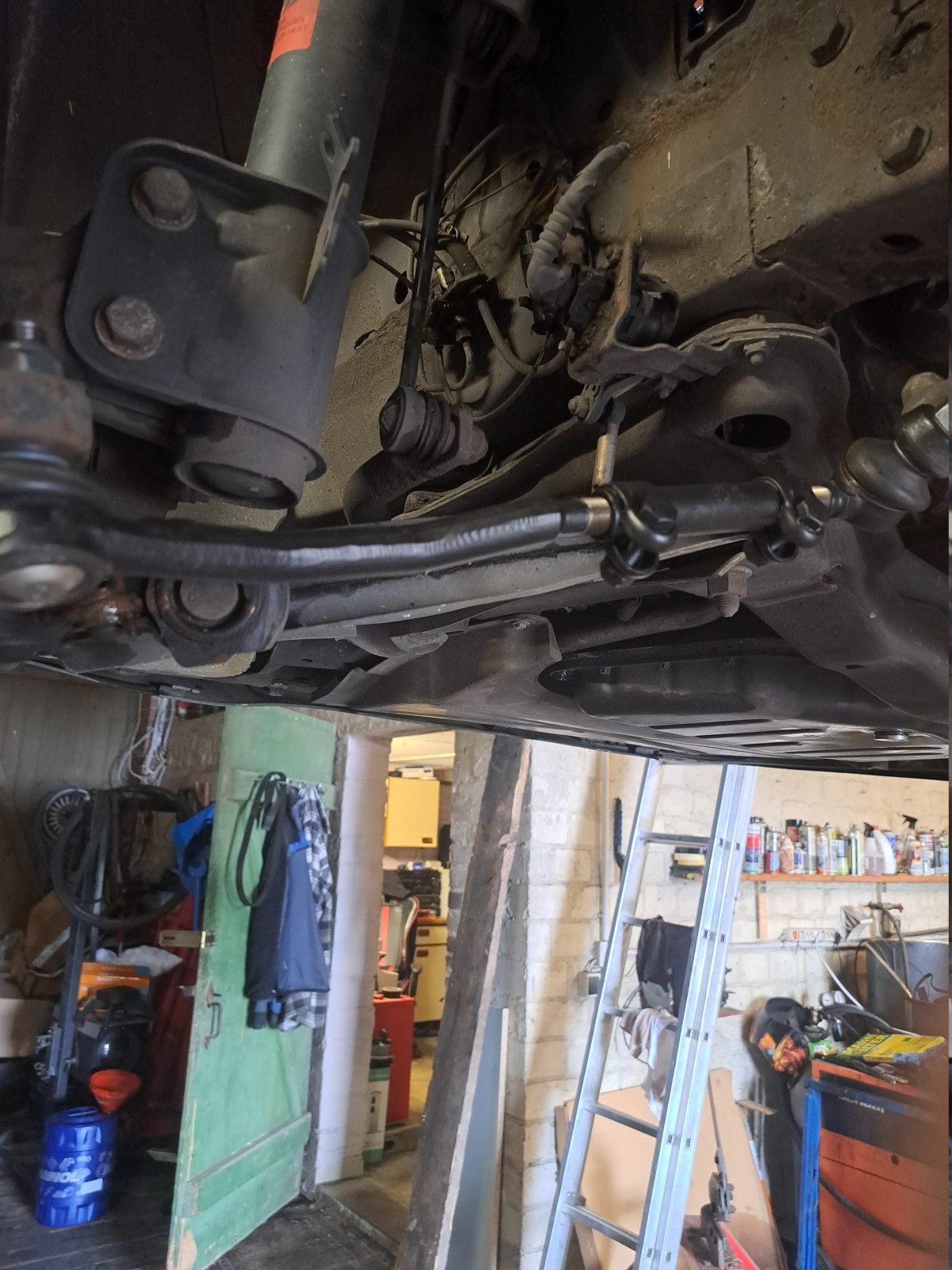 Was habt Ihr heute alles Gutes für Euren Omega & Senator getan?