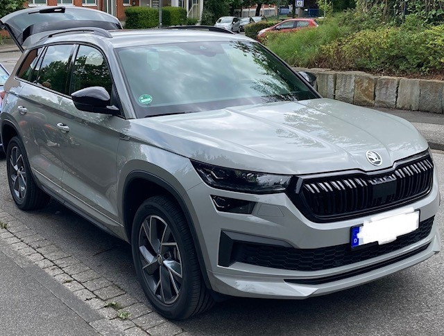 Vorstellung Kodiaq