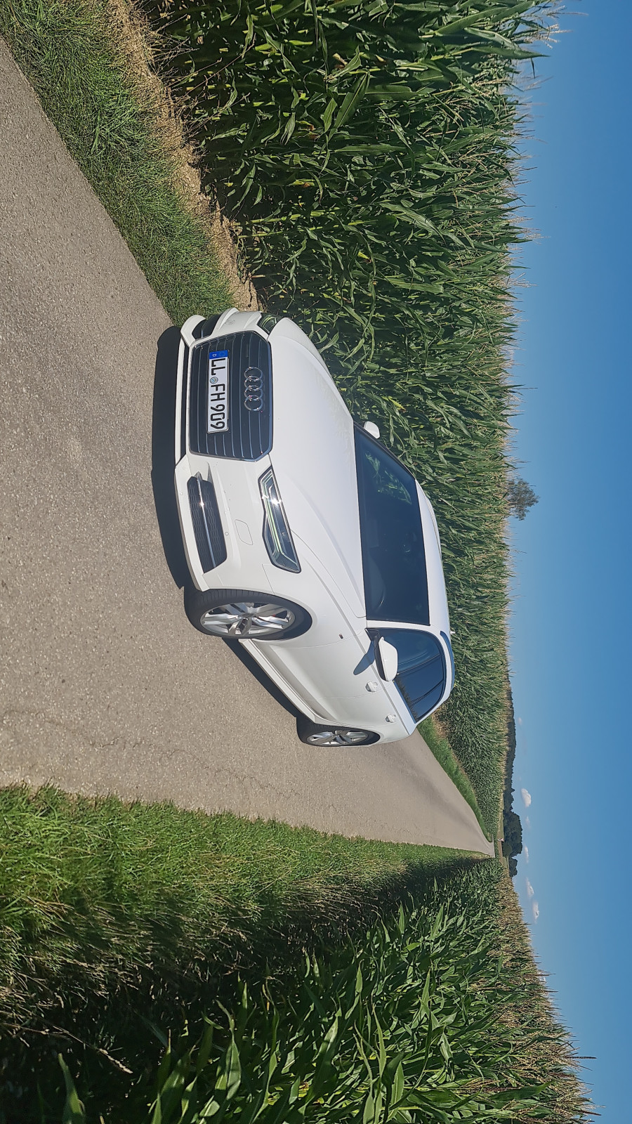 Audi A6 4G Öltemperatur