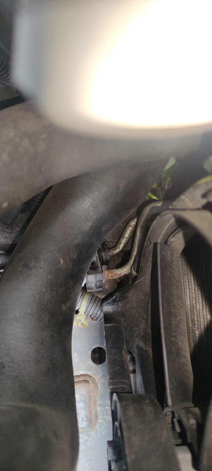 Opel Insignia Gummistopfen