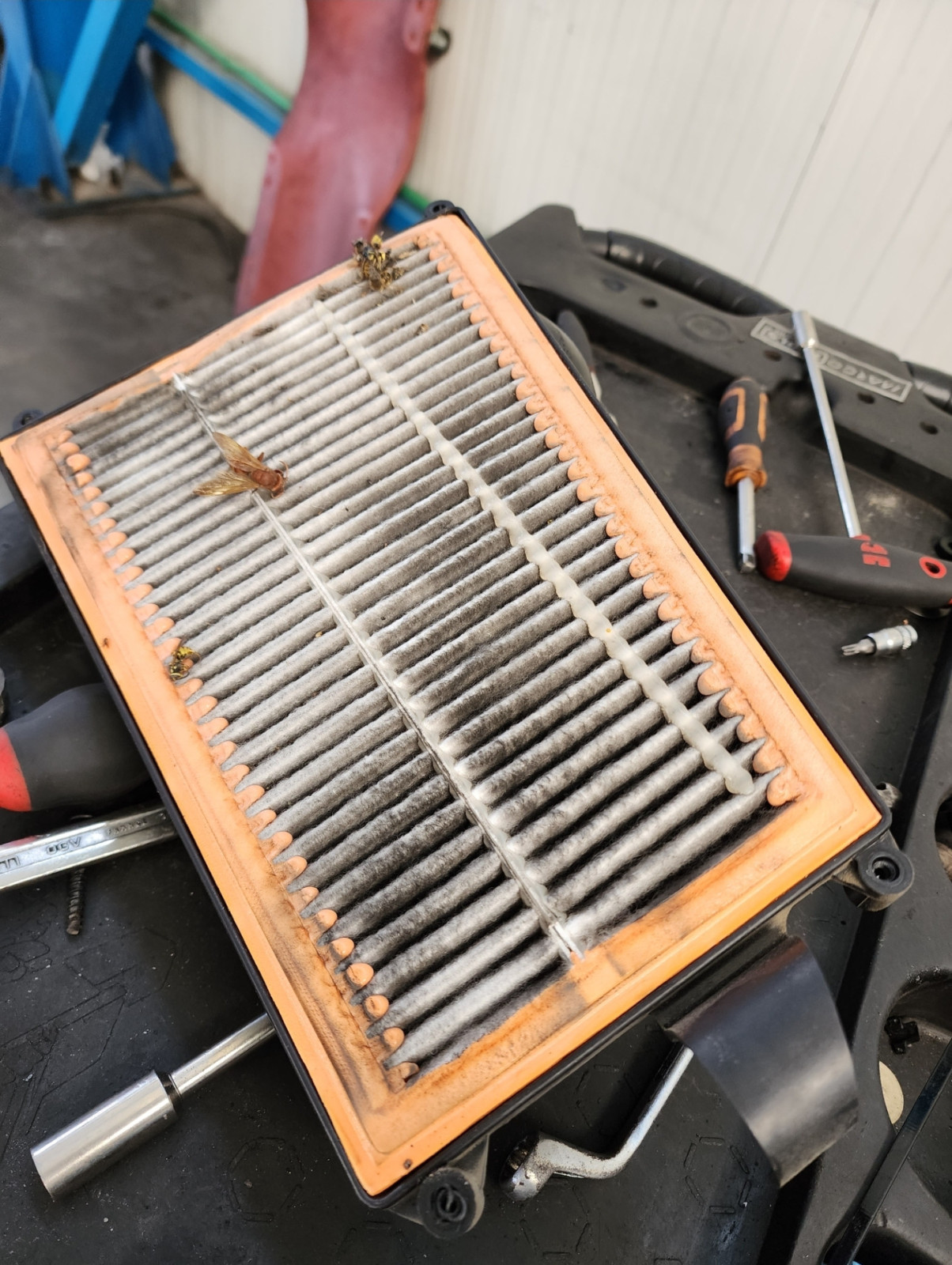 OM642LS 350 Bluetec - Serviceintervalle