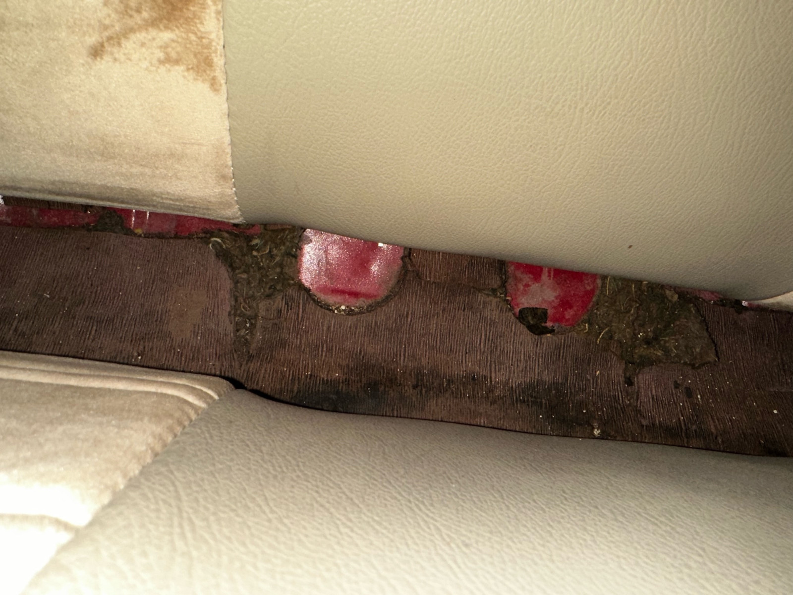 VW Käfer Mexico 1990 Sicherheitsgurte hinten