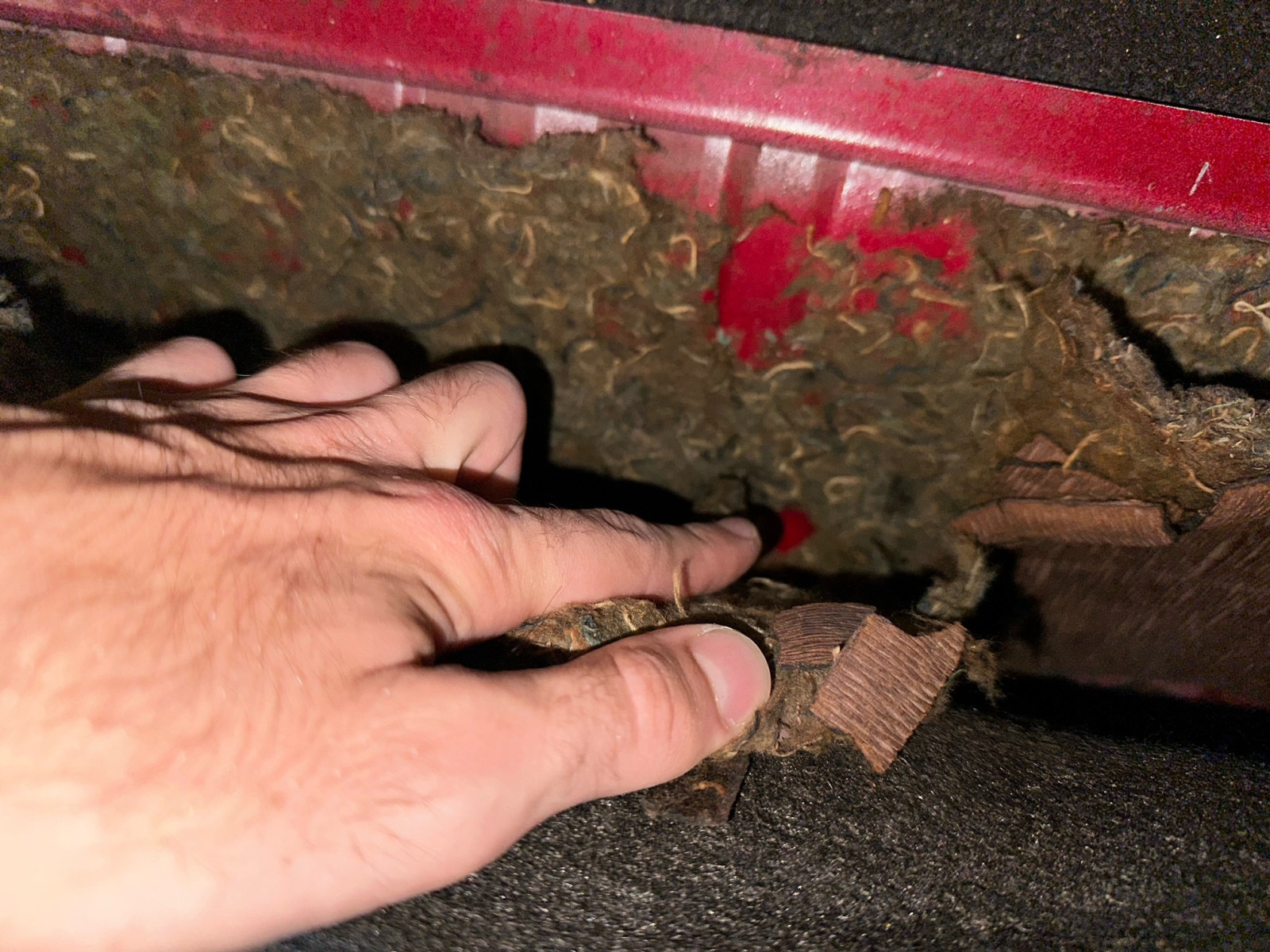 VW Käfer Mexico 1990 Sicherheitsgurte hinten