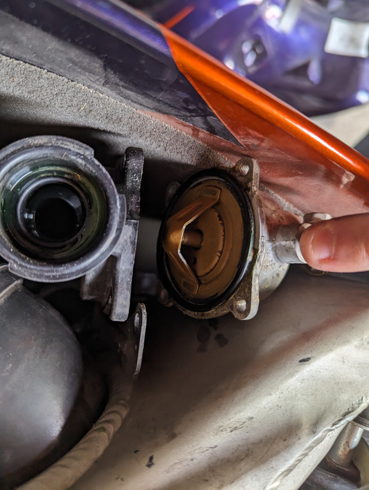 Tadaa, der/die/das Thermostat