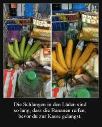 3dae8914b054b38e094aa1bce900e142